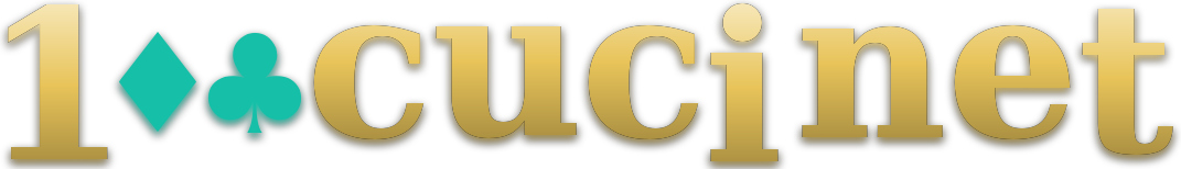 100cuci net logo